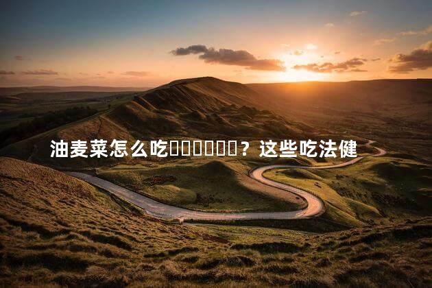 油麦菜怎么吃？这些吃法健康又美味